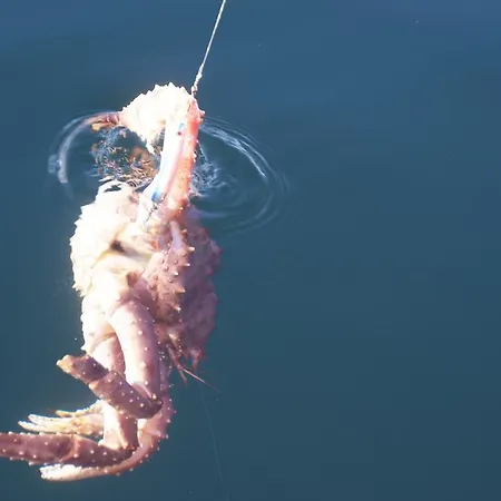 Seljenes シャレー Russenes