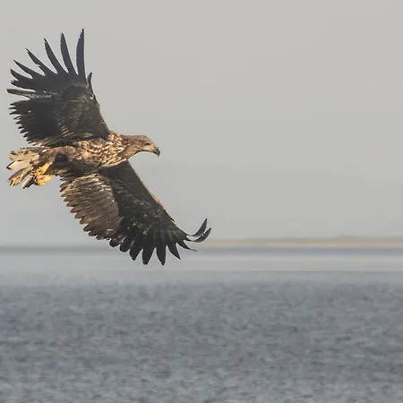 シャレー Seljenes Russenes