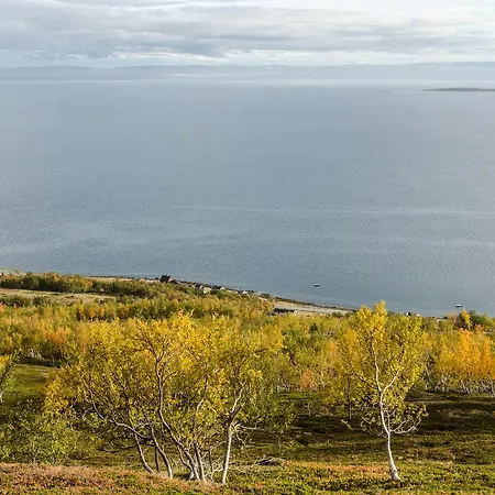 シャレー Seljenes